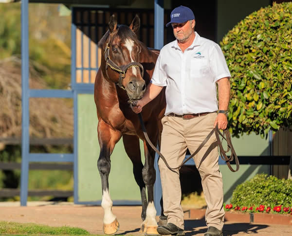 Toronado (IRE) knows how to make an entrance!