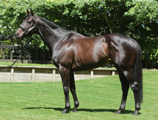 Vadamos stands at $15,000 plus GST