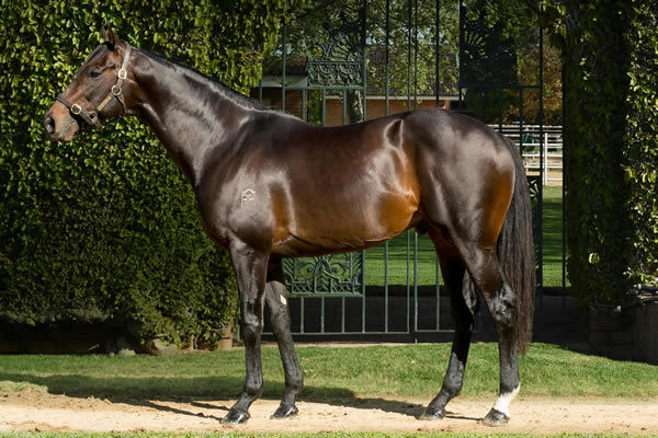 Xtravagant stands at $11,000 this spring.