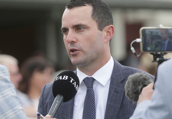 Trainer Andrew Forsman (pictured) will line-up Full Of Sincerity in the Gr.1 New Zealand Derby (2400m) at Te Rapa on Saturday. Photo: Trish Dunell