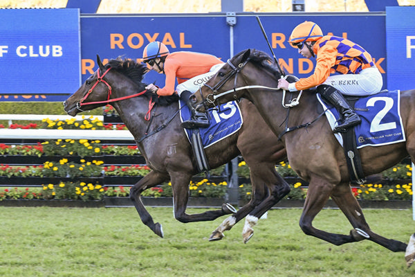 First Stakes Success For Exosphere's Consistent 4yo Headley Grange