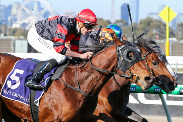 Stop?The?Rock?surges clear under Billy?Egan to capture the Ken?Cox Handicap at Flemington. Photo:?Bruno?Cannatelli