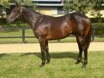 Two by Tassort for Inglis Gold