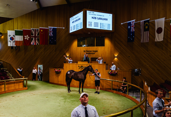 Fireworks at last year's sale for the $1.65million I Am Invincible colt from Shillelagh.