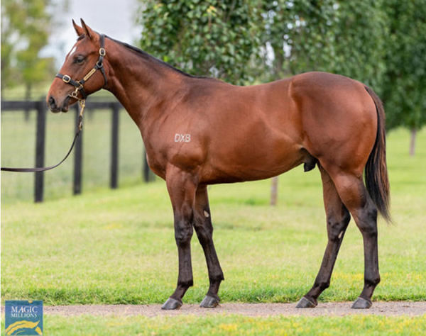 Adeem is the first foal of G1 Flight Stakes winner Oohood.