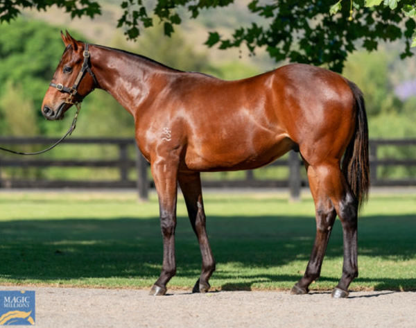 After Match was a $410,000 Magic Millions purchase.