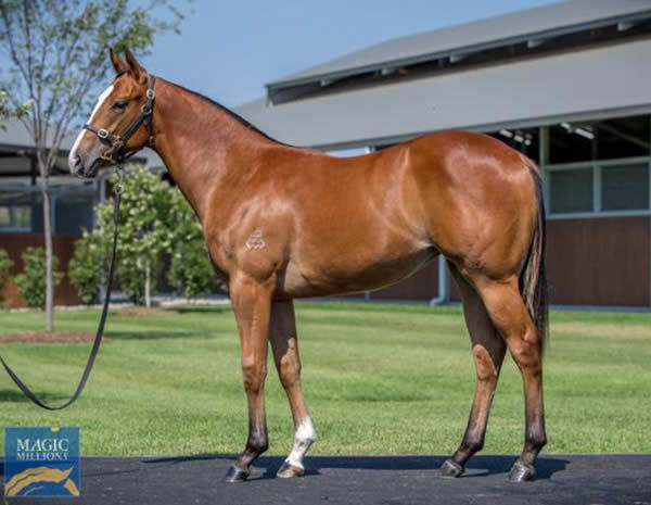 All Girls was a $250,000 Magic Millions purchase.