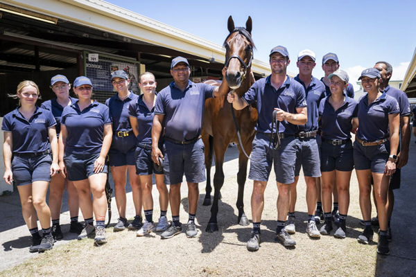 $1.1million Anamoe colt from Secret Trail was sold by Widden - image MM