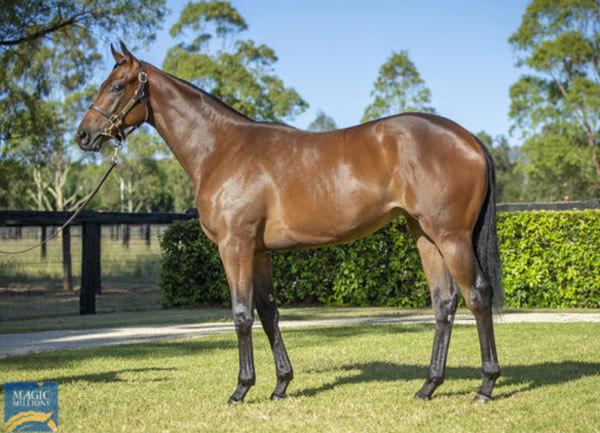 Arriving Home was a $550,000 Magic Millions purchase.