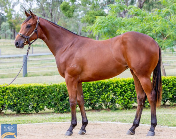 Barbie's Sister was a $300,000 MM purchase from Eureka Stud. 