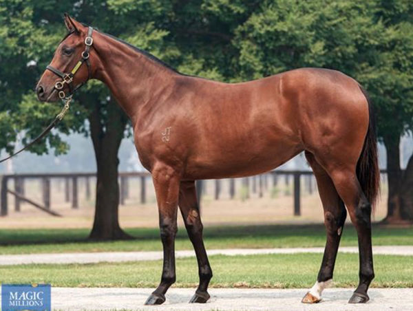 Biscayne Bay as a yearling.