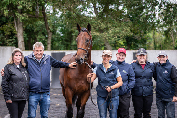 Top lot on Day 1 - Blue Point colt from Bloomfield - image Goffs 