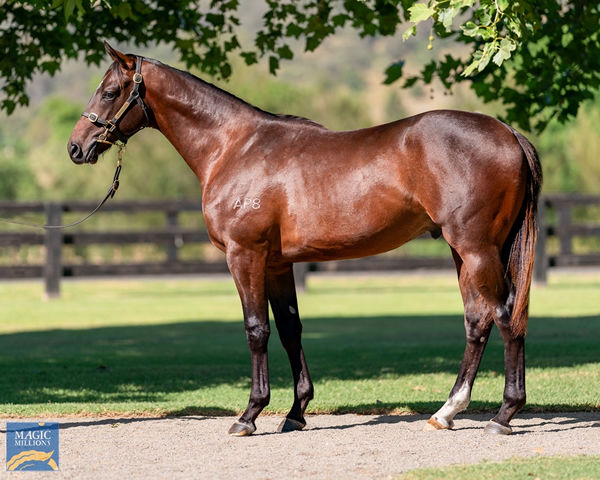 $900,000 Blue Point (IRE) colt from Bumbasina (IRE)