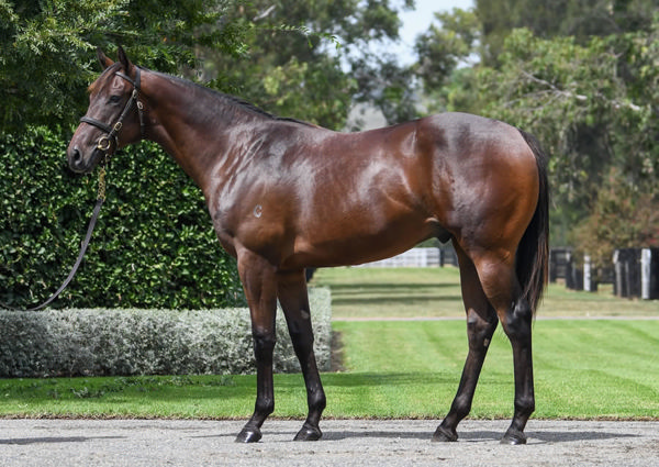 Botanist was a $900,000 Inglis Easter purchase from Coolmore.