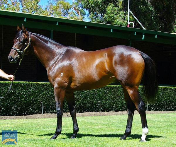 Lot 26 is a standout!
