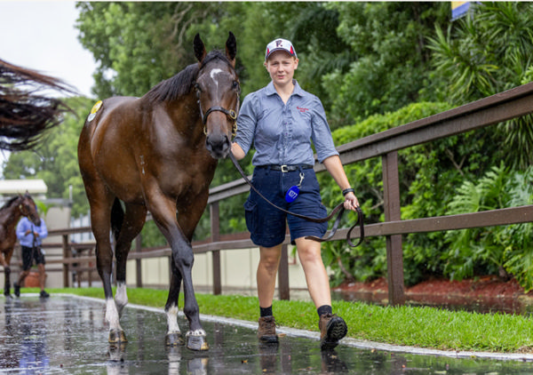 $200,000 for the full sister to Isti Star - image MM