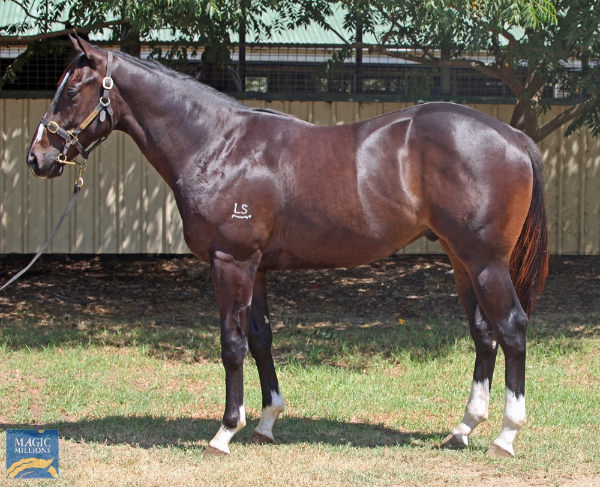 Lot 41, click to see his page.