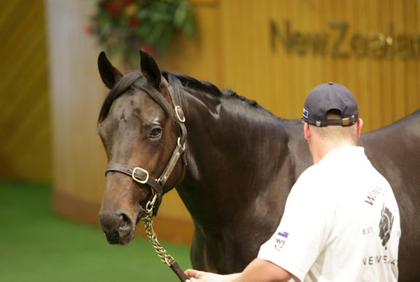 Lot 416, the Almanzor colt, was purchased by Bruce Perry for $420,000. Photo: Trish Dunell