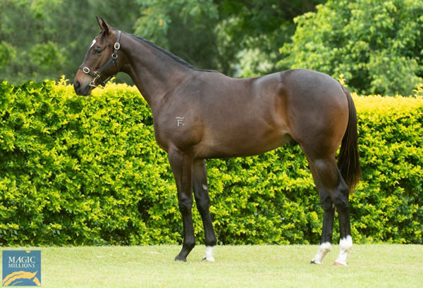 New benchmark for Better Than Ready with this $300,000 colt bought by Annabel Neasham.