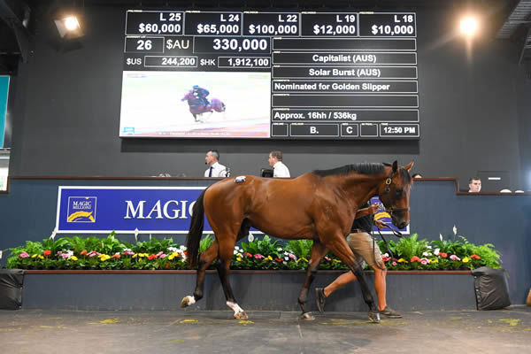 $330,000 Capitalist colt from Solar Burst.