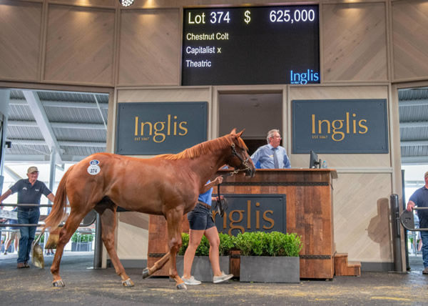 Capital Theatre was the top lot at the 2021 Inglis Classic Yearling Sale.