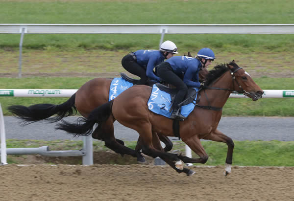 Deep Field colt from National Anthem was low flying! 