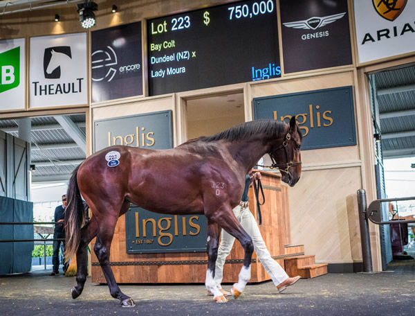 Nondisclosure was last year's Inglis Ready 2 Race sale-topper.