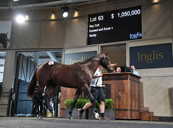 $1,050,000 Exceed and Excel colt from Sanity - image Steve Hart