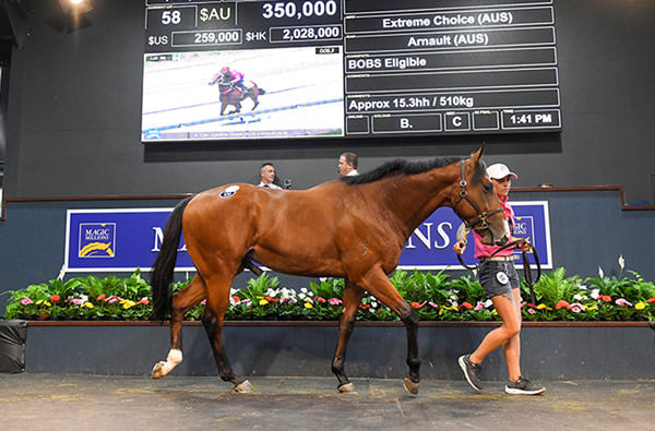 $350,000 sale-topping colt by Extreme Choice.