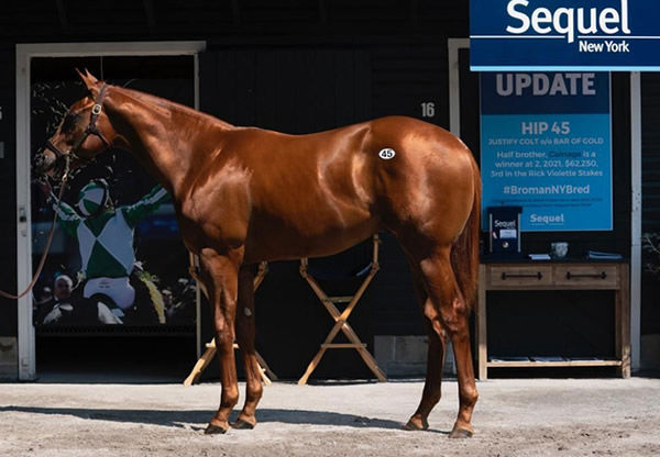 $Top seller for Justify at the Saratoga Yearling Sale first session was this colt from Bar of Gold sold for $825,000.