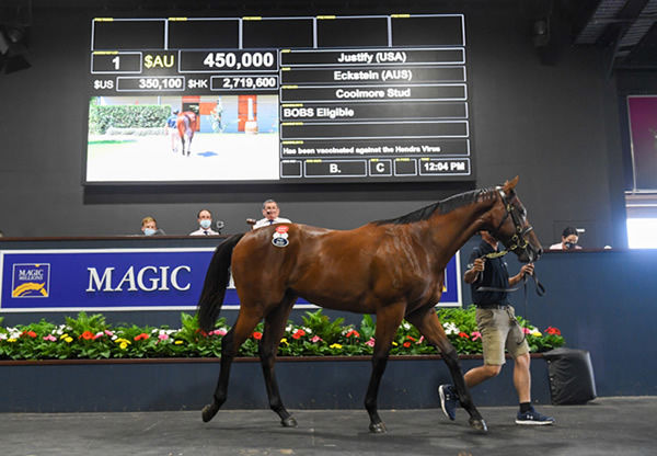 The first Justify yearling sold in Australia fetched $450,000 to the bid of China Horse Club/Newgate Bloodstock/Trilogy Racing.  