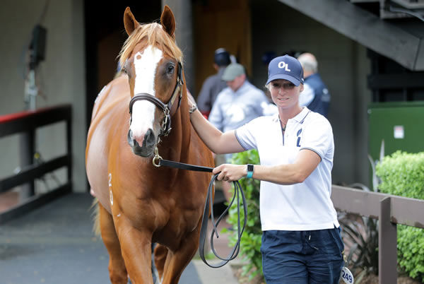 $520,000 Justify colt from Santa Clara