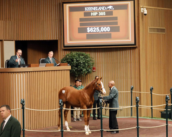 Session topping $625,000 Justify colt from Unenchantedevening.