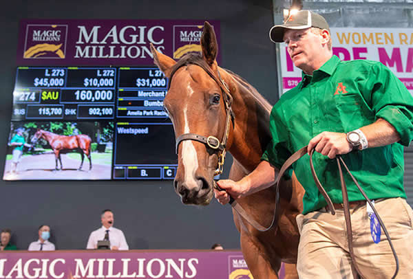 $160,000 Merchant Navy colt from Bumbasina.