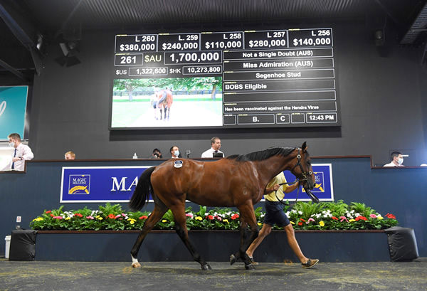$1.7million Not a Single Doubt colt from Miss Admiration.