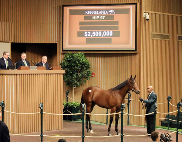 Session topping colt by Quality Road from True Feelings - Keeneland Photo