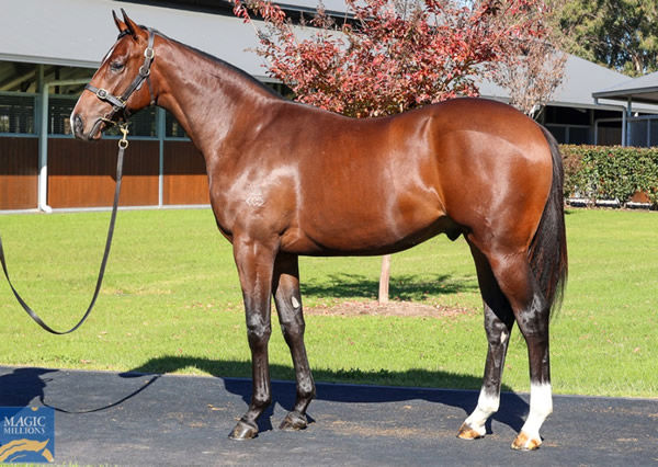 Selling for $210,000, the last yearling sold by Reodute's Choice will be trained by Chris Waller.