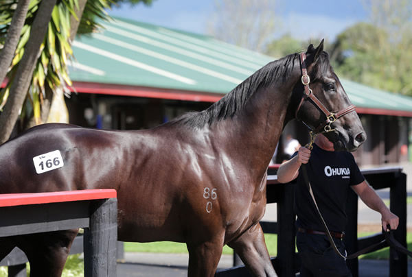 Session topping $575,000 Savabeel colt from Maxmara. 