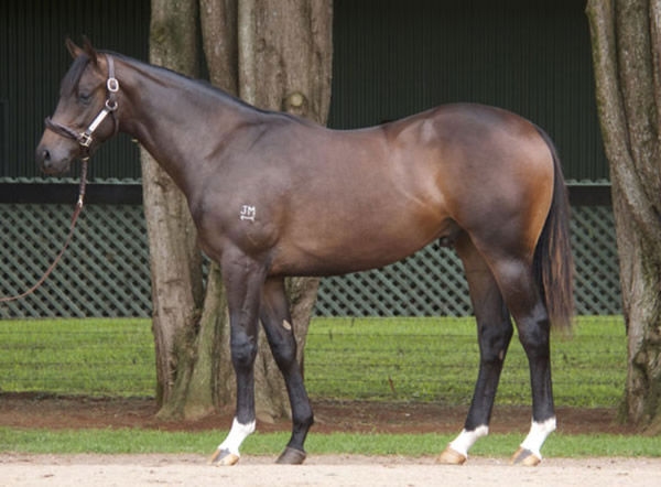 $500,000 Inglis Easter yearling sold by Milburn Creek.