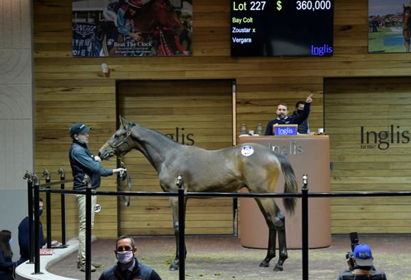 $360,000 Zoustar colt from Vergara