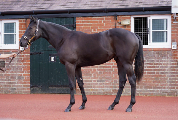 Camille Pissarro made 1.25million guineas at Tattersalls October Book 1.