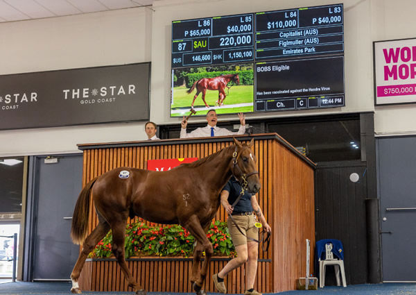 $220,000 Capitalist colt from Figlmuller