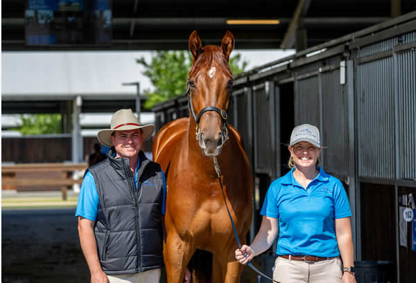 $400,000 Capitalist colt from Ghalia's Dream.