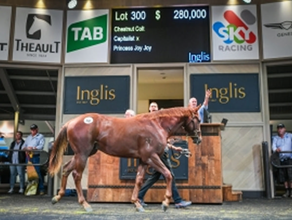 $280,000 Capitalist colt tops the sale.