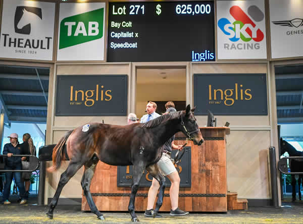 $625,000 Capitalist colt was the star of the show.