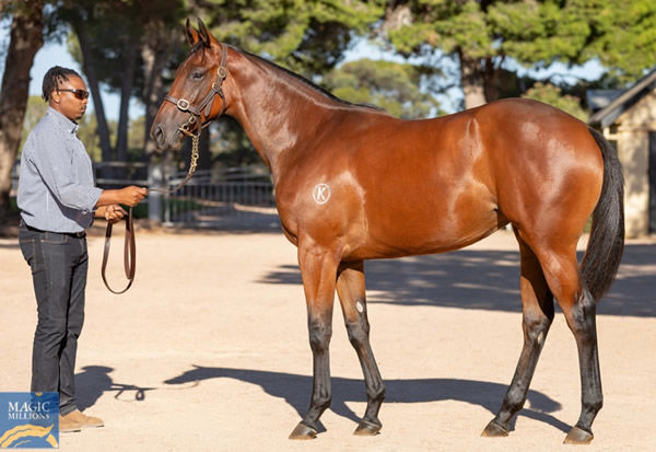 $325,000 Capitalist filly from Tagreeda.