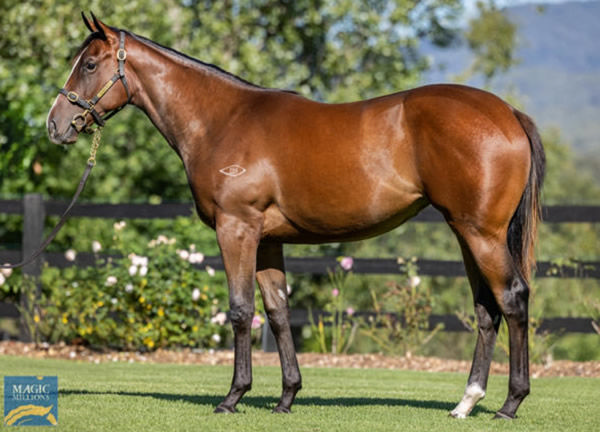 Carina Queen was a $450,000 Magic Millions purchase. 