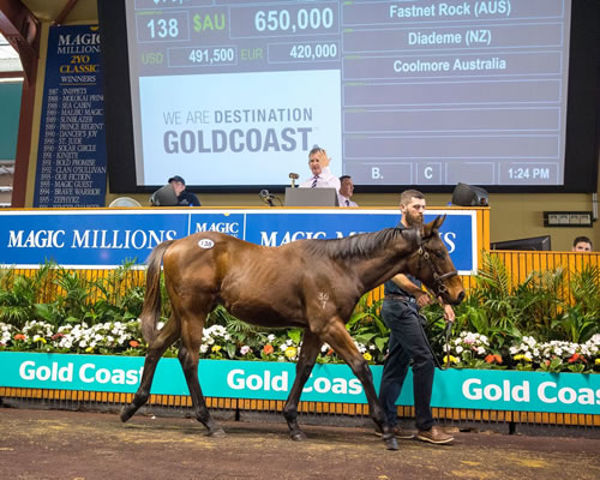 Unition was knocked down for $650,000 at the Magic Millions National Weanling Sale 