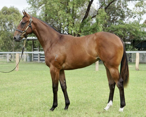 Cherokee Miss was a $90,000 Inglis Classic purchase from the Riversdale draft.