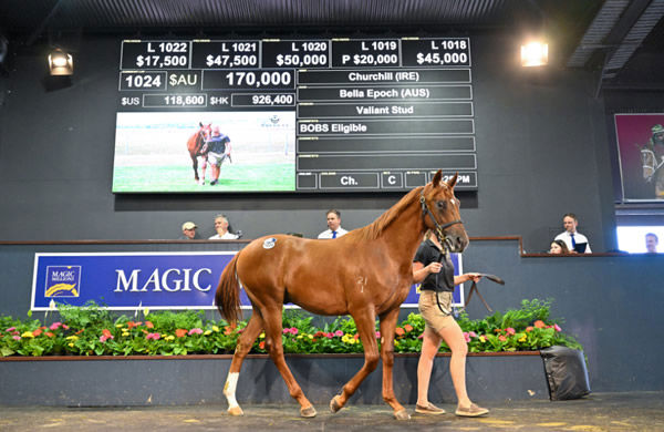 $170,000 Churchill (IRE) colt from Belle Epoch